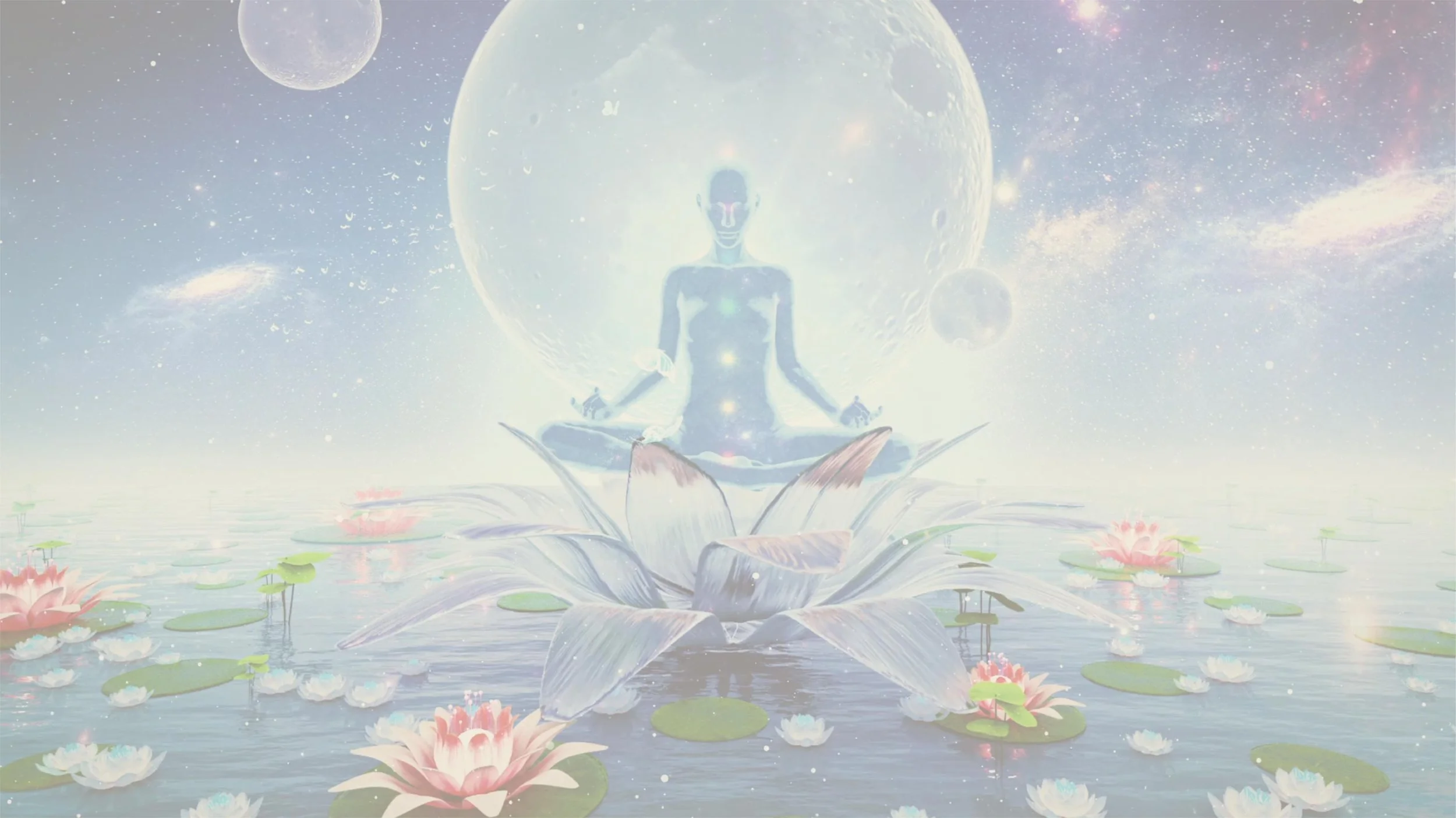 Sol + Spirit_Website_Intro Video Fallback Image.jpg