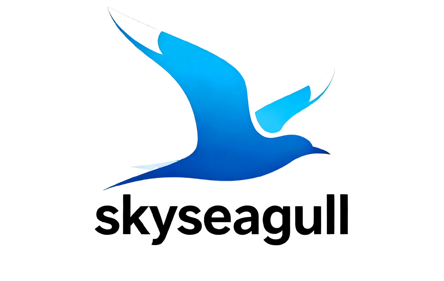skyseagull