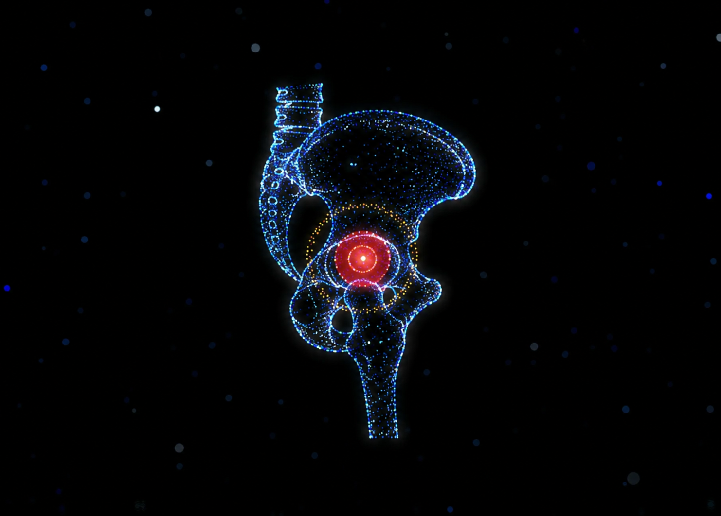 Digital art of a human kidney and bladder made of blue, yellow, and red glowing dots against a black background, resembling a constellation or star map.