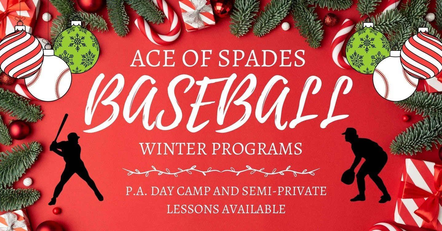 Ace of Spades Baseball Winter P.A. Day Camp on December 8th! ☃️⚾