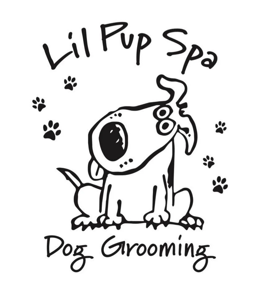 LIL PUP SPA
Give your dog the ultimate experience with a one-on-one gentle and kind approach to grooming.  