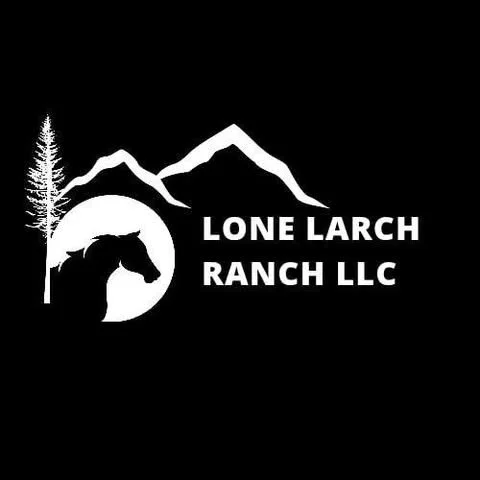 HORSEMANSHIP CLASSES: Lone Larch Ranch in Newport, Washington offers horseback riding lessons for ages 5 and up, helping riders build confidence, skills, and a lifelong love for horses in a welcoming, family-friendly environment.