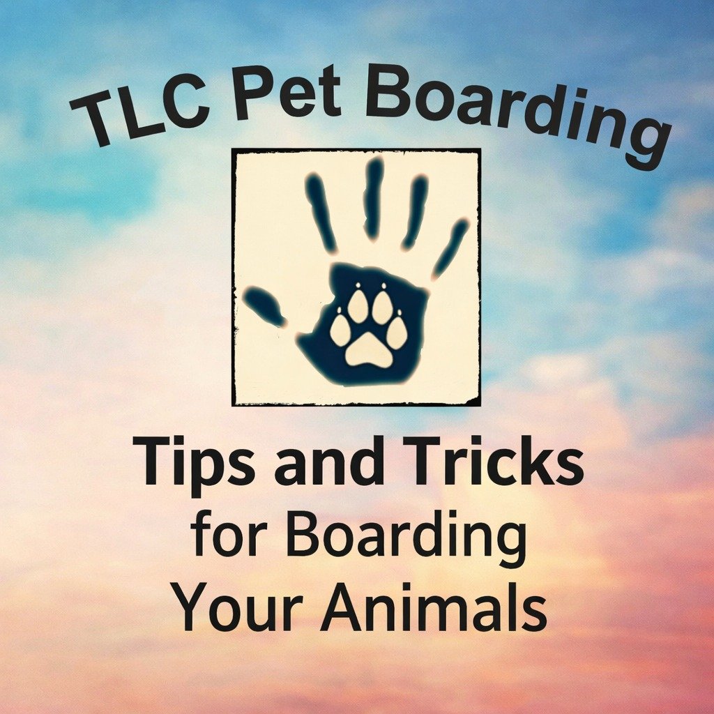 TLC PET BOARDING
Nestled on 20 acres of peaceful countryside just outside Newport, WA, TLC Pet Boarding is more than a place for pets to stay — it’s a trusted part of our community. 
TLC Pet Boarding
382 Lillijard Rd
Newport, Washington 99156