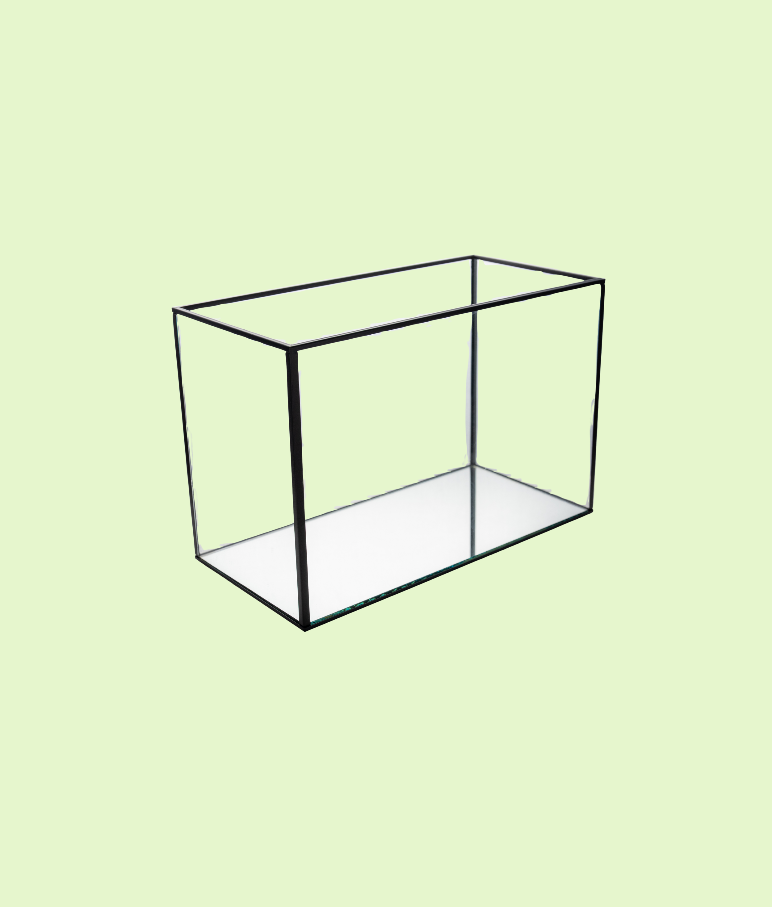 55.png