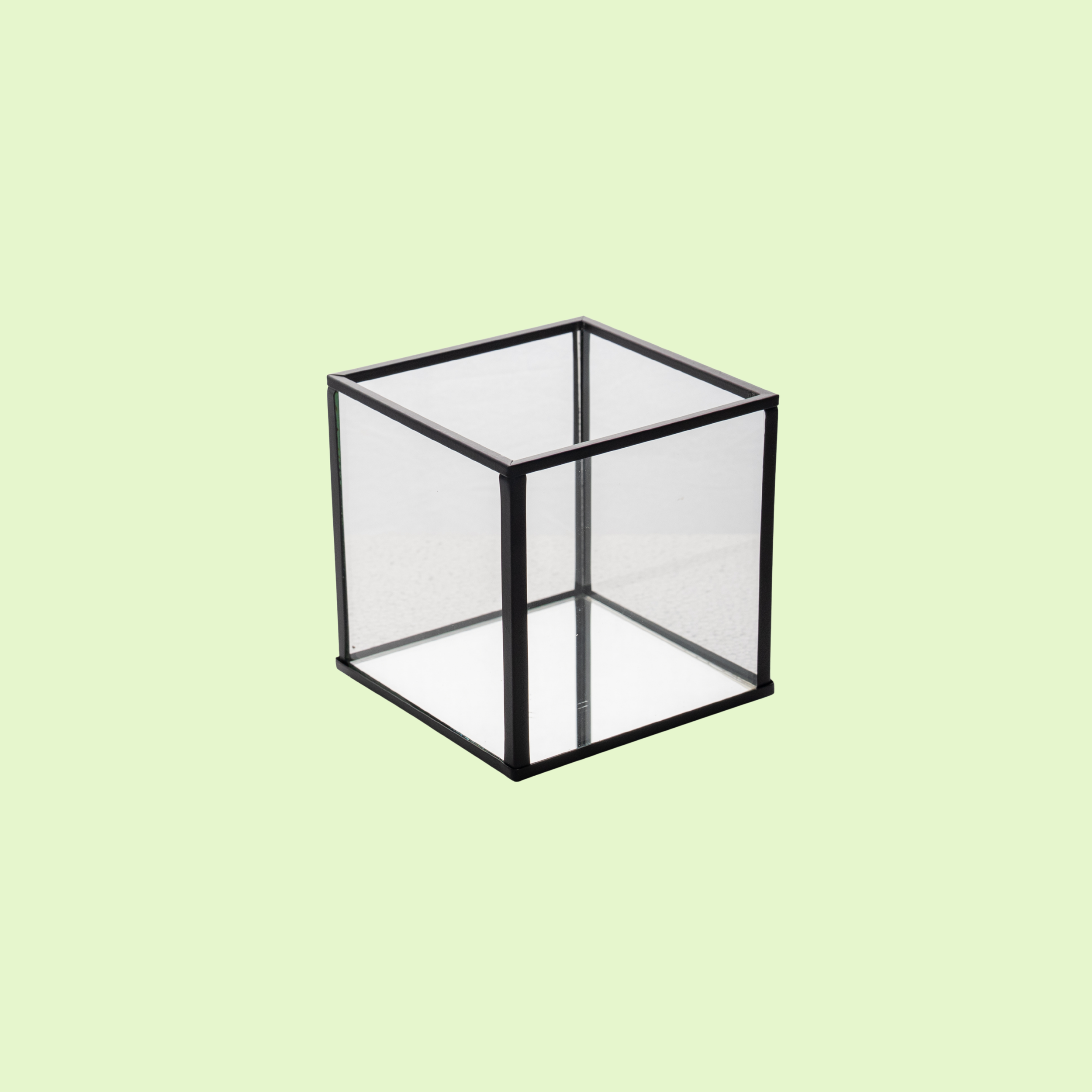 Black Lantern Small