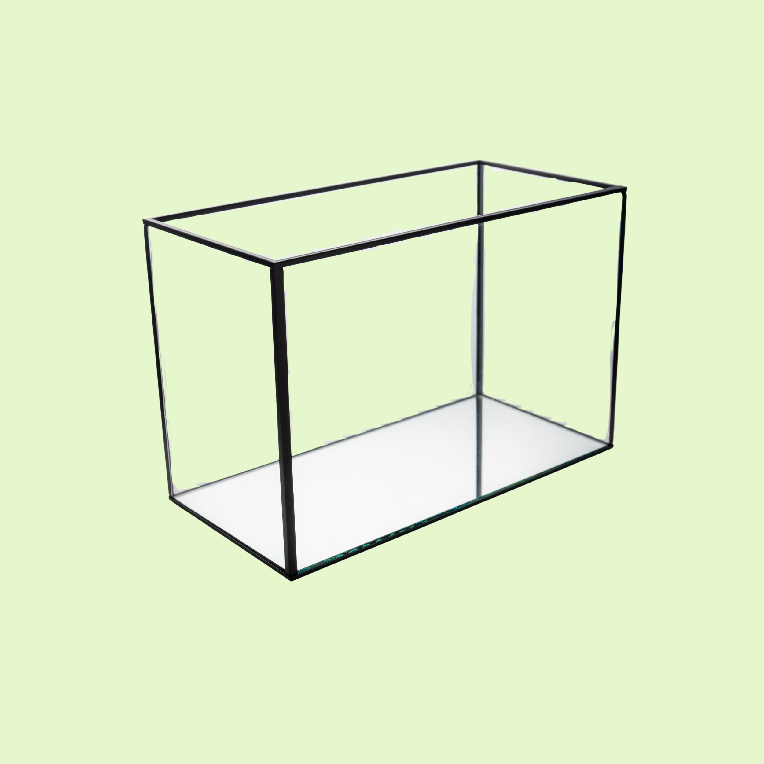 Black Lantern Large