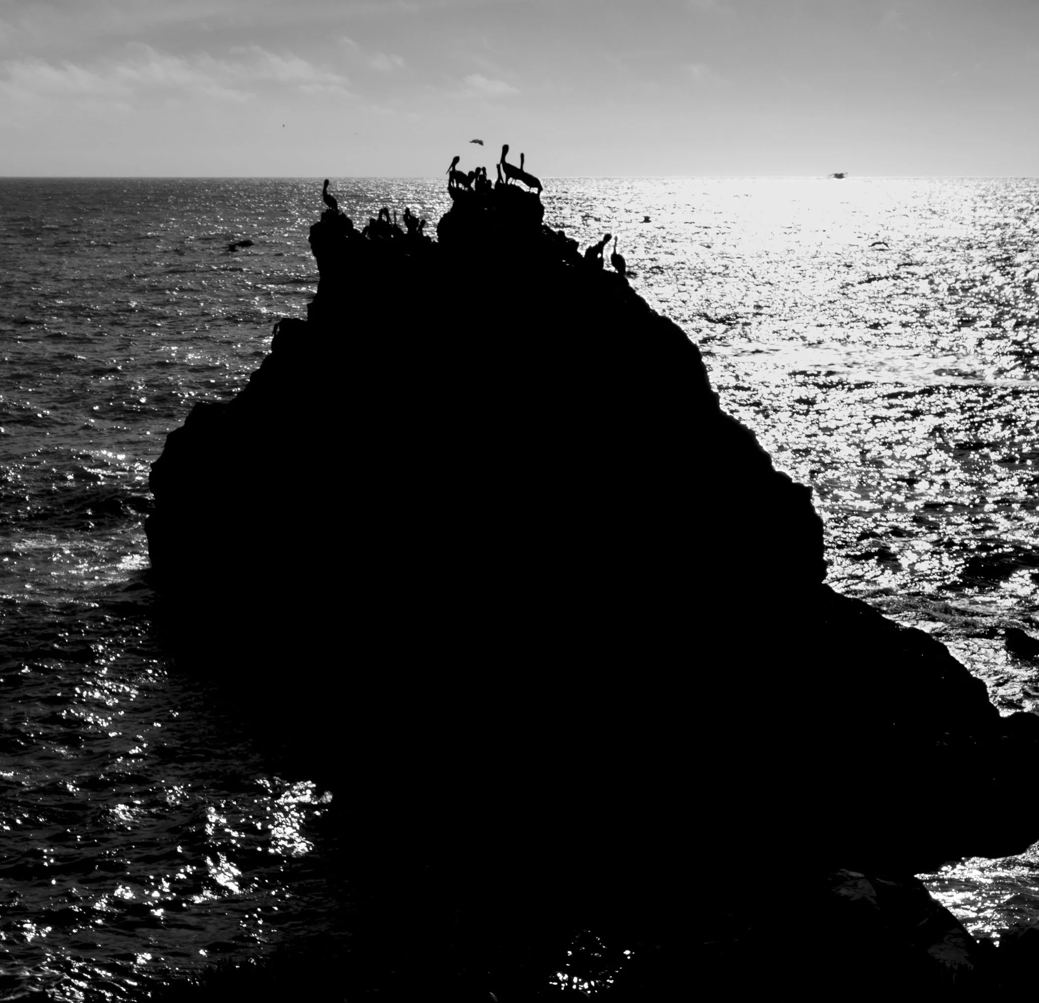 Mussel Rock Park, Daly City, Calif. Sunset