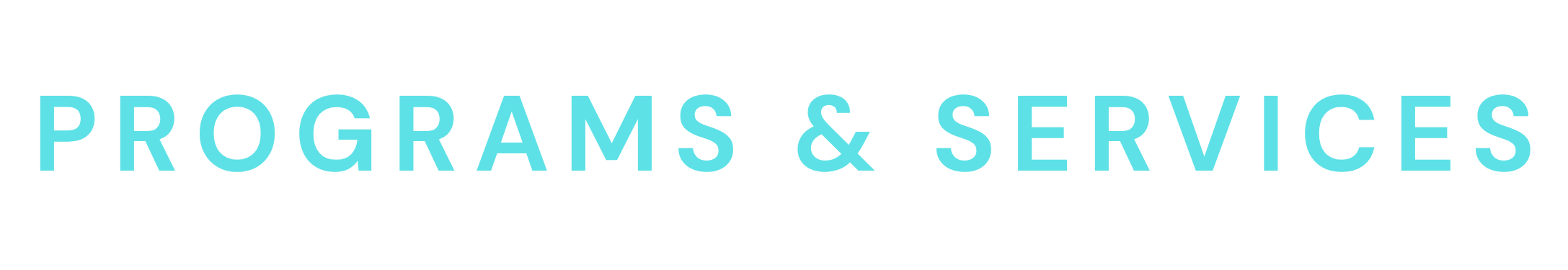 MS Nation Community Foundation section heading