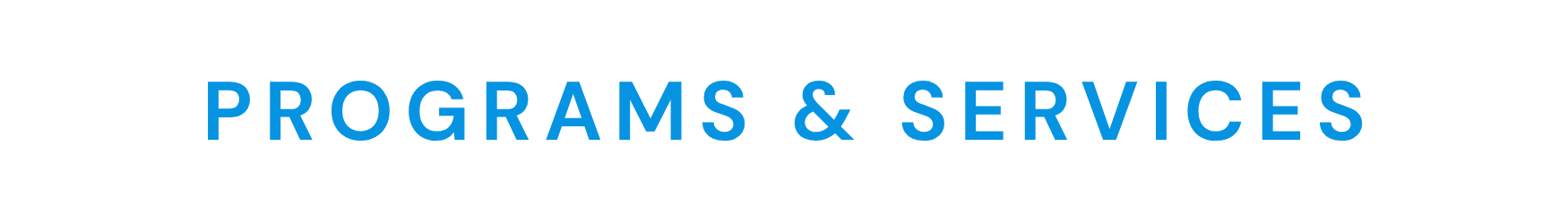 MS Nation Community Foundation section heading