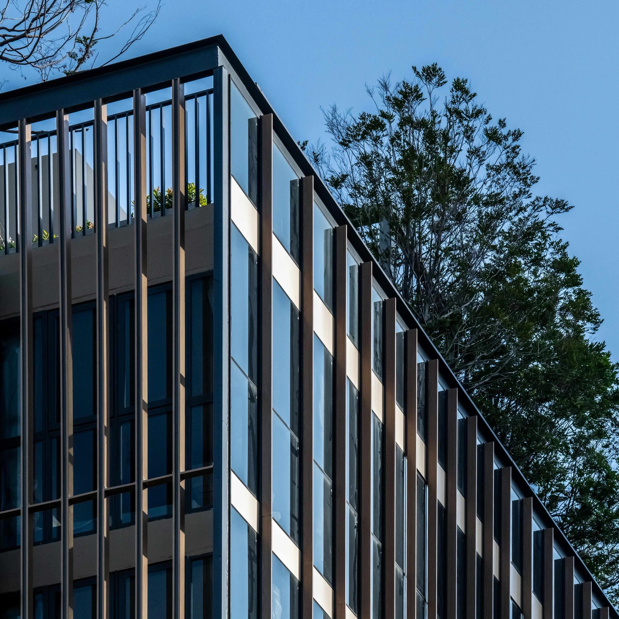 J85_6527 Straighten.jpg