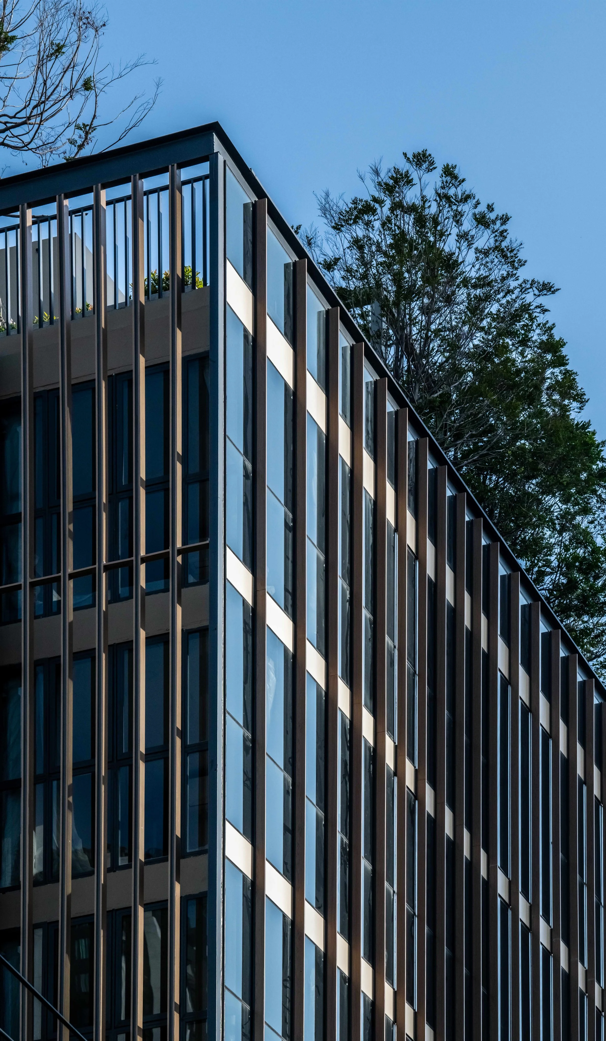 J85_6527 Straighten.jpg