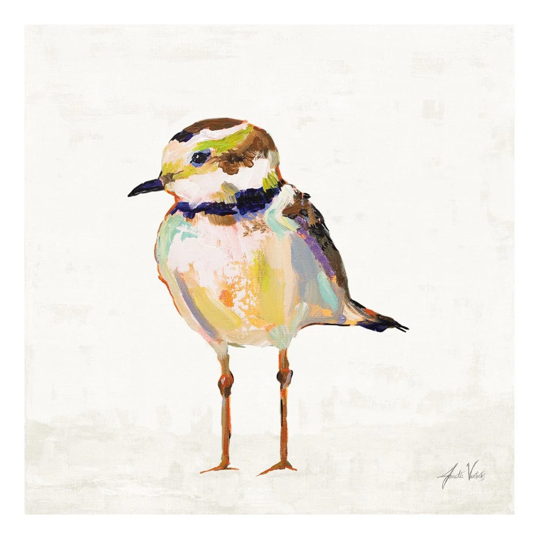 70070-12x12HR_Coastal Plover II Linen_preview (2).jpg