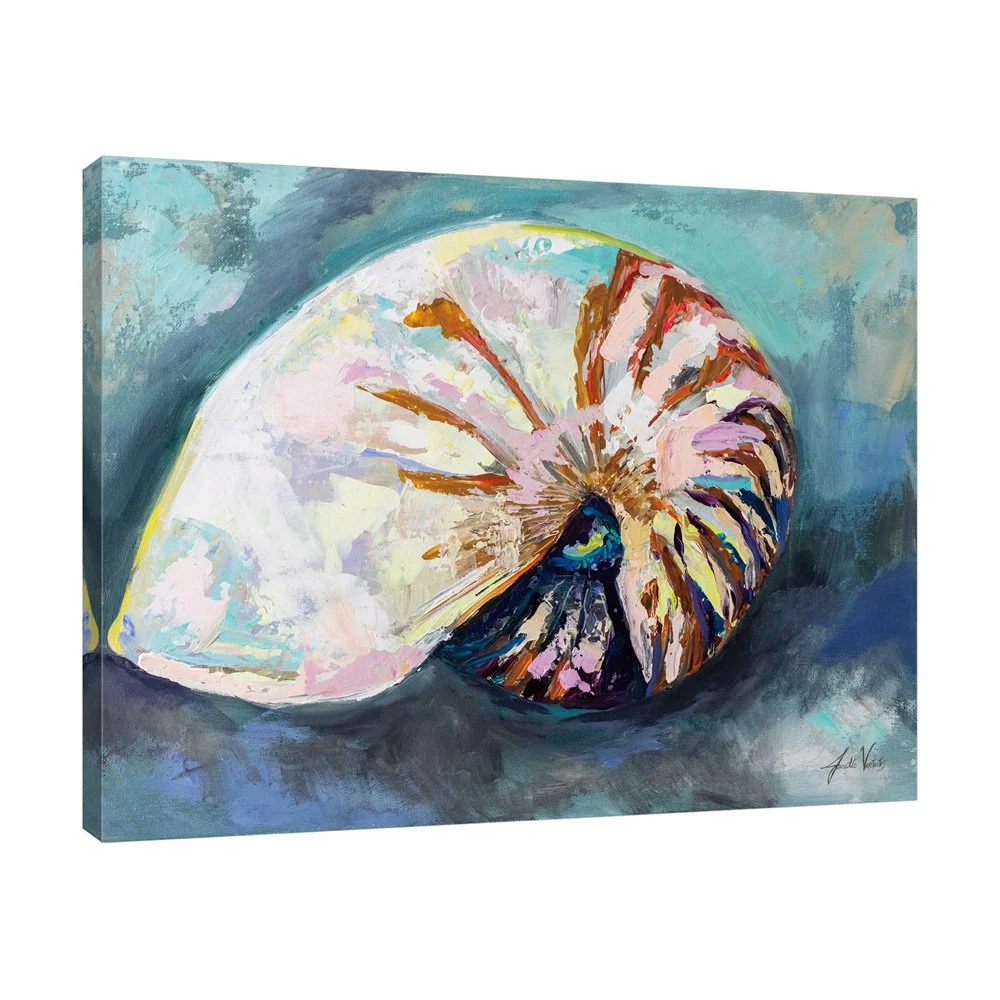 69364HR_Nautilus Shell_preview (3).jpg