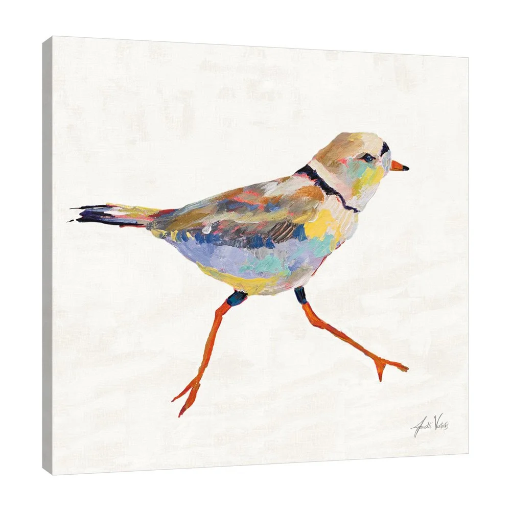70069-12x12HR_Coastal Plover I Linen_preview (3).jpg