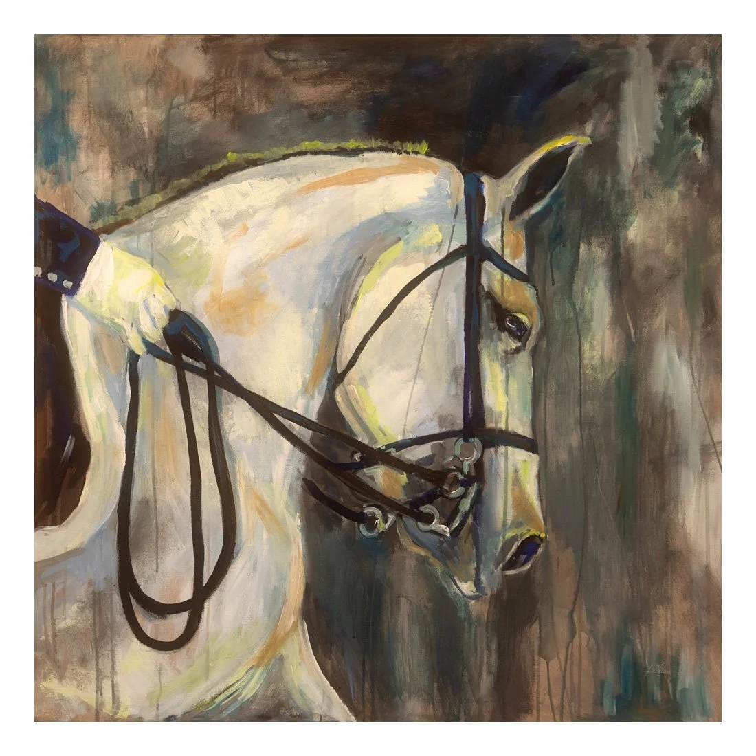 49340HR_Dressage_preview (2).jpg