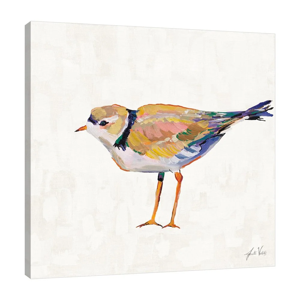 70072-12x12HR_Coastal Plover IV Linen_preview (3).jpg
