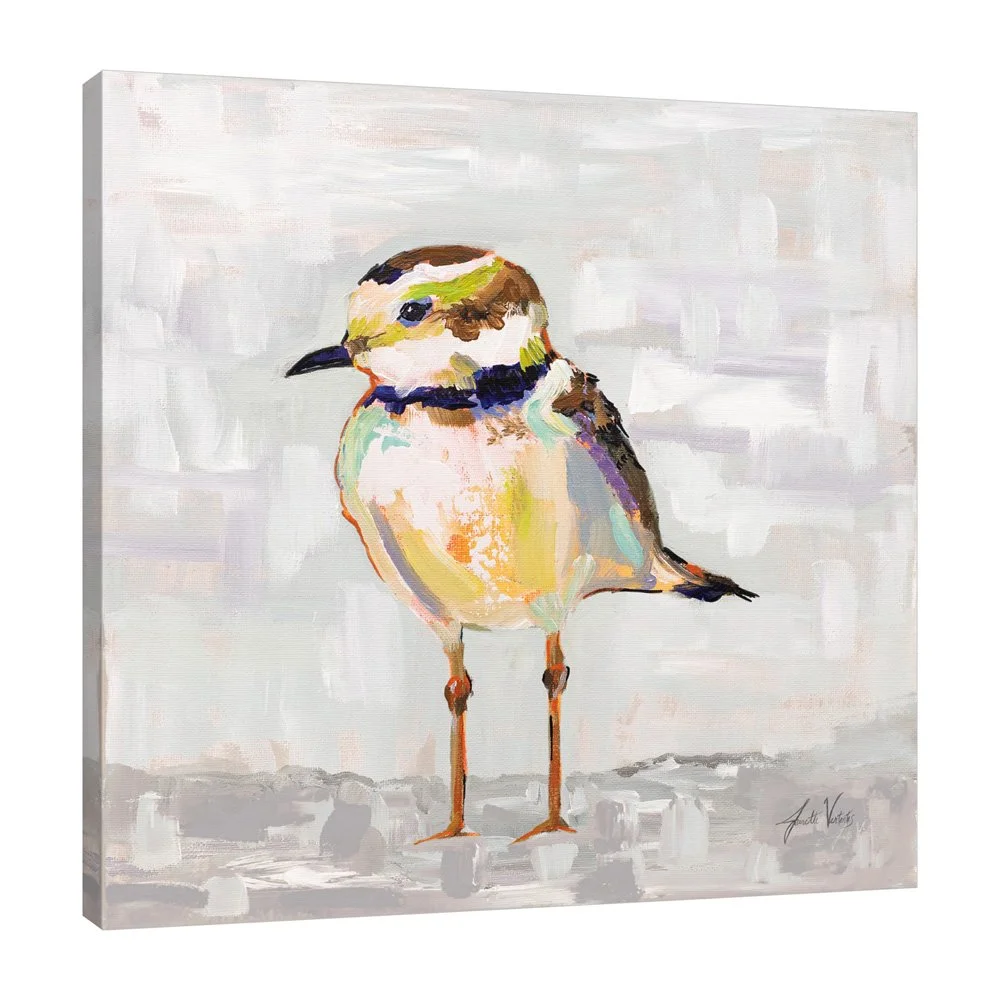 68801-12x12HR_Coastal Plover II Gray_preview (3).jpg