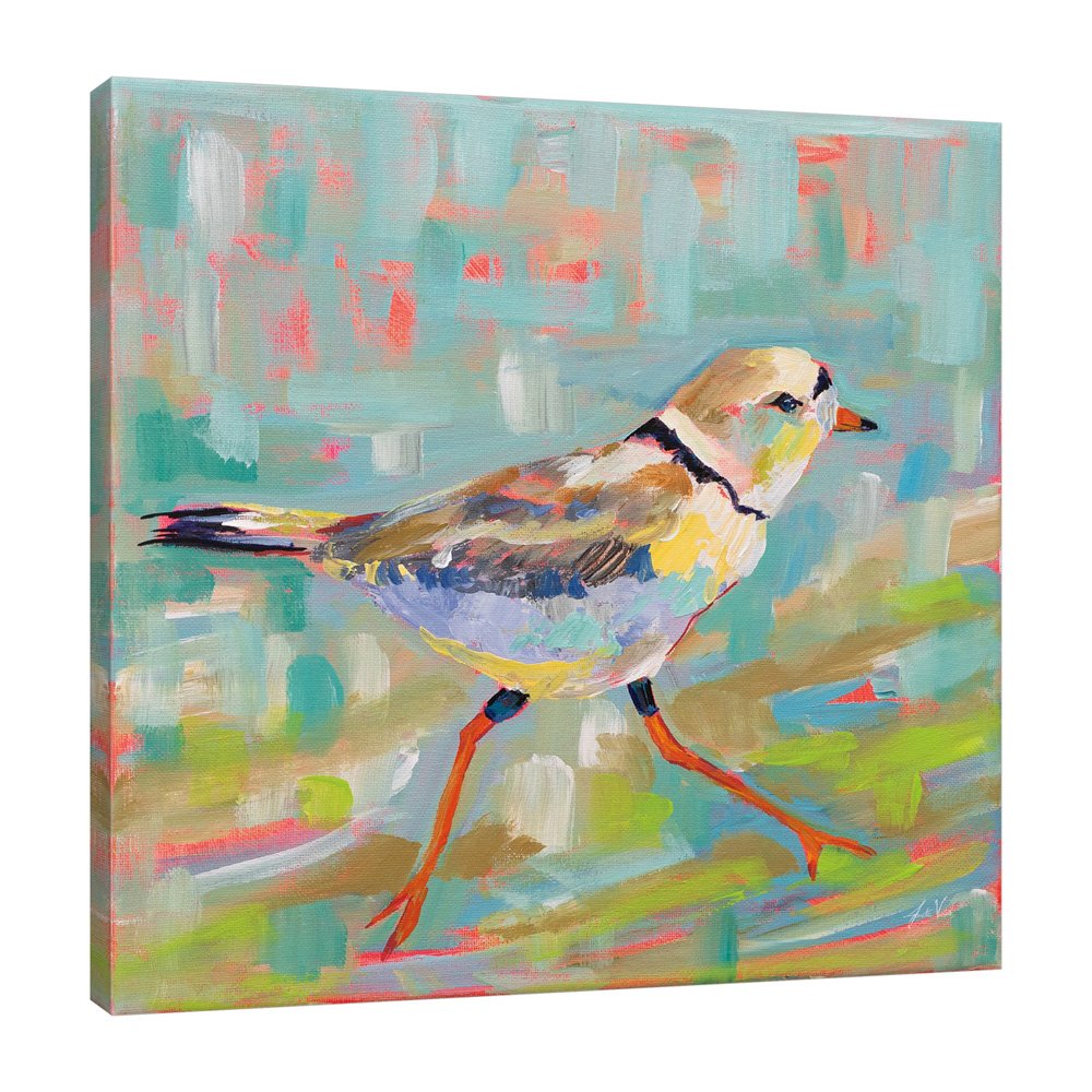 55179-16x16HR_Coastal Plover I_preview (3).jpg