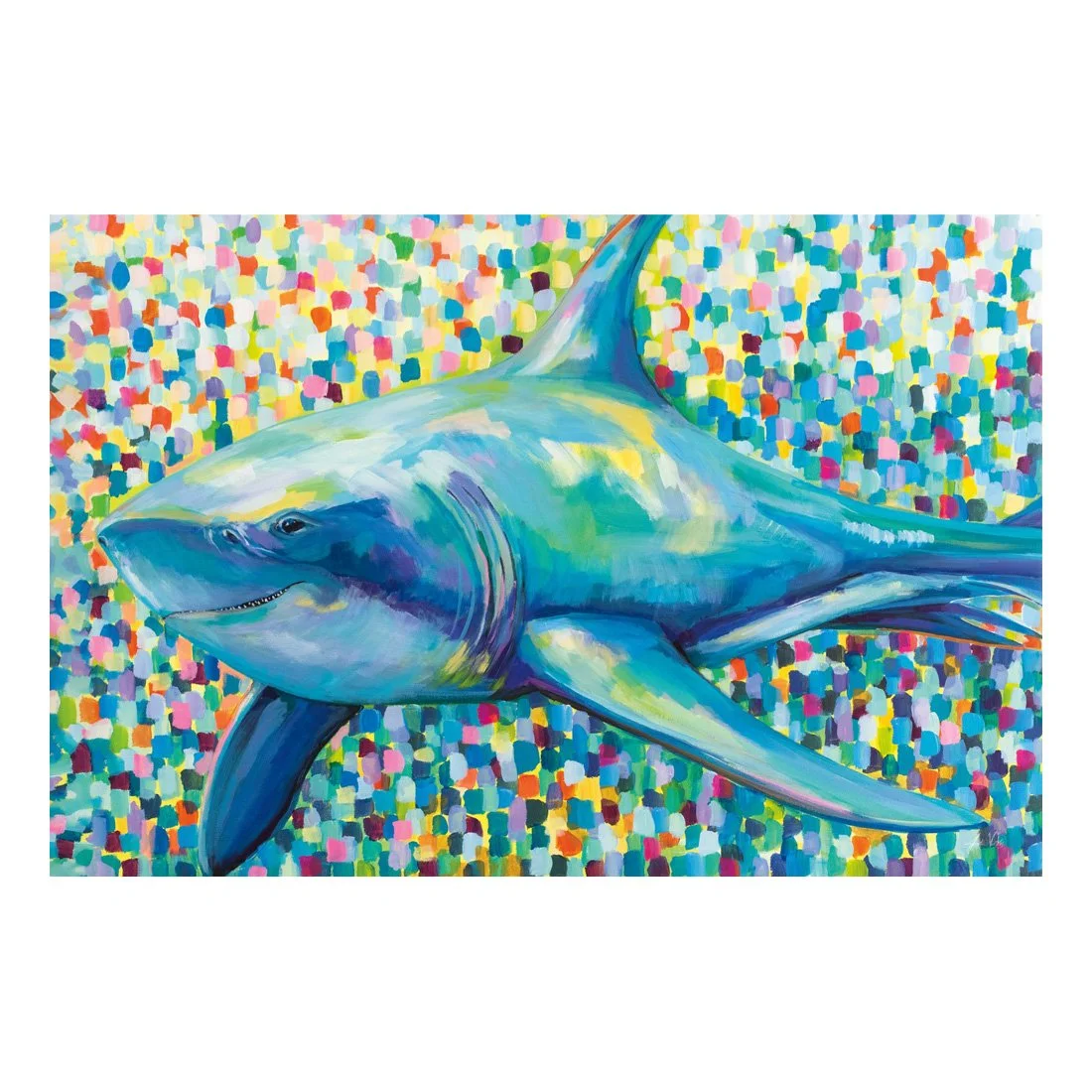 63465HR_Chatham Shark_preview (2).jpg