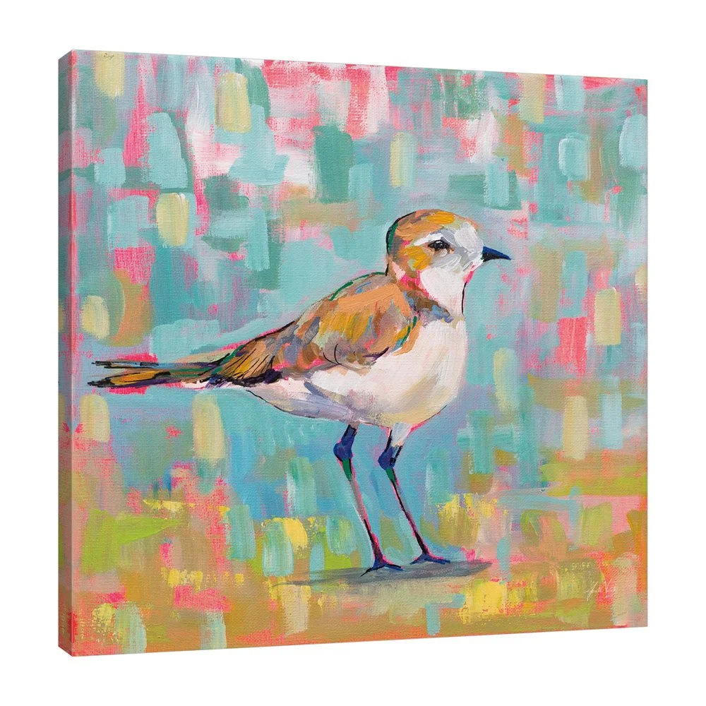 55181-16x16HR_Coastal Plover III_preview (3).jpg