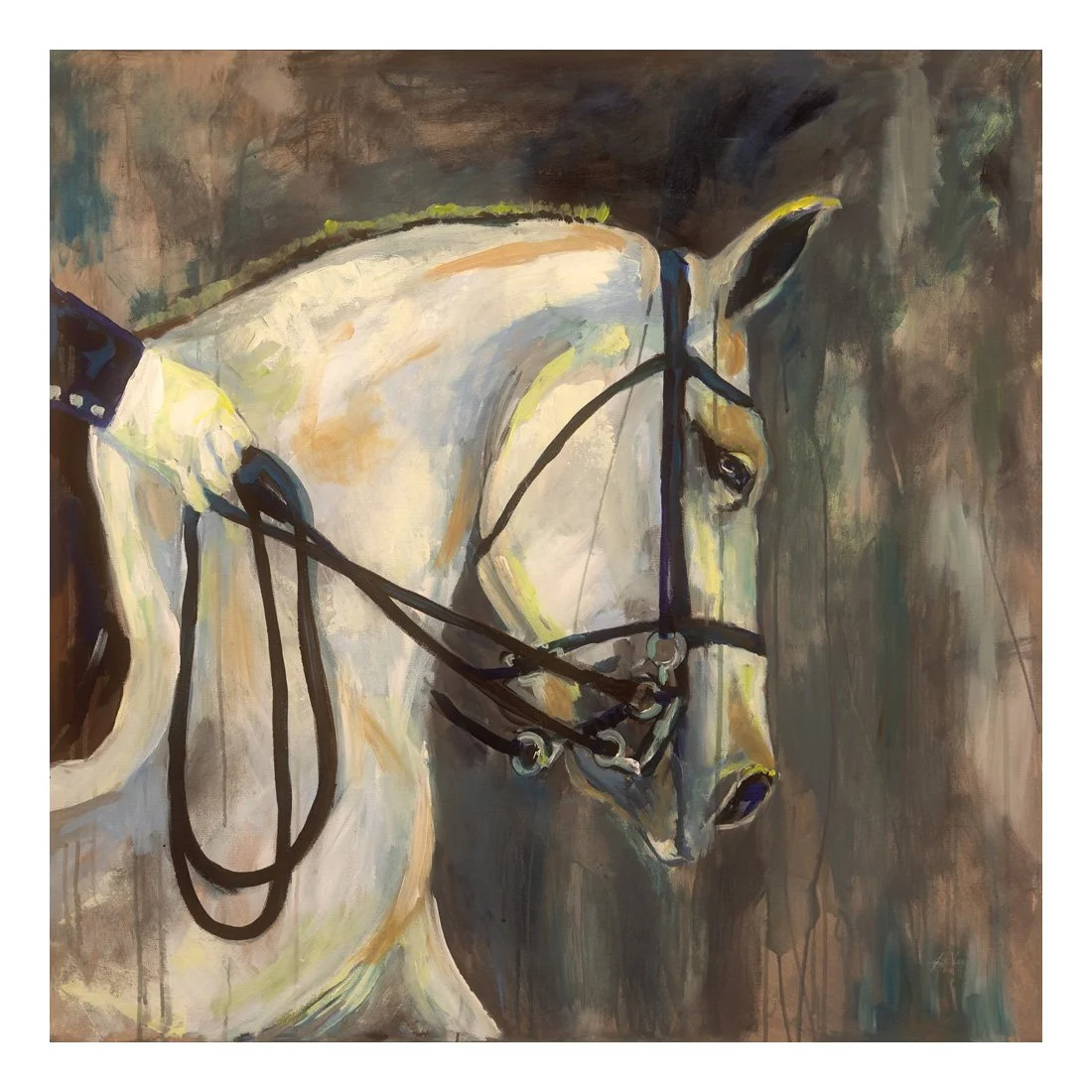 51479-27x27HR_Dressage v2_preview (2).jpg