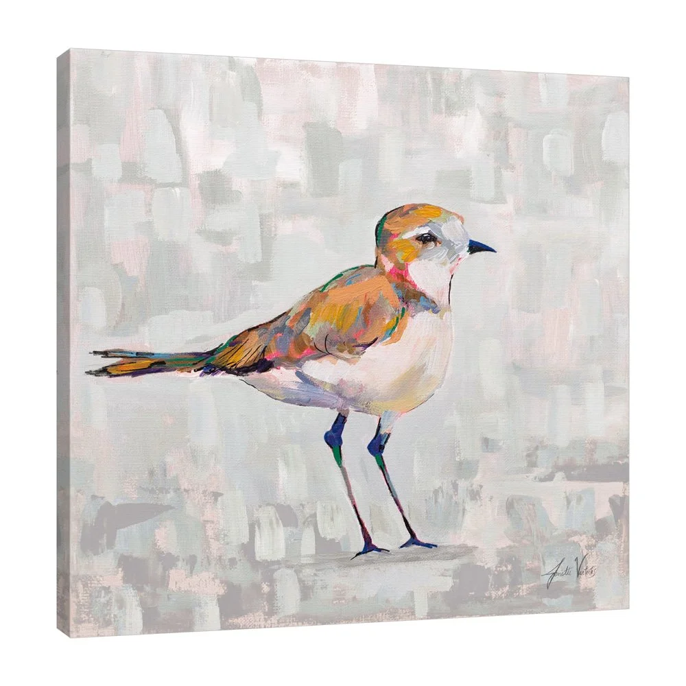 68802-12x12HR_Coastal Plover III Gray_preview (3).jpg