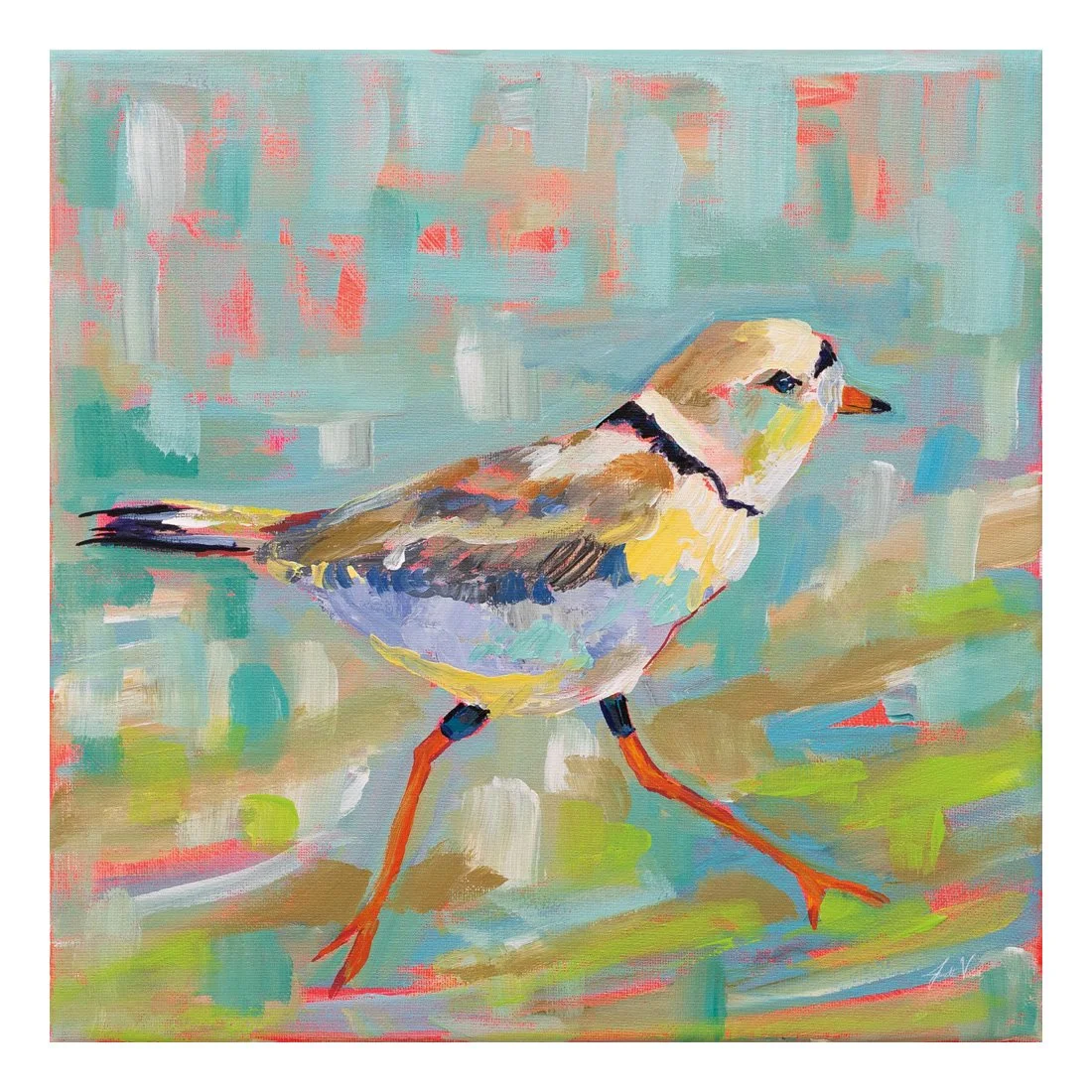 55179-16x16HR_Coastal Plover I_preview (2).jpg
