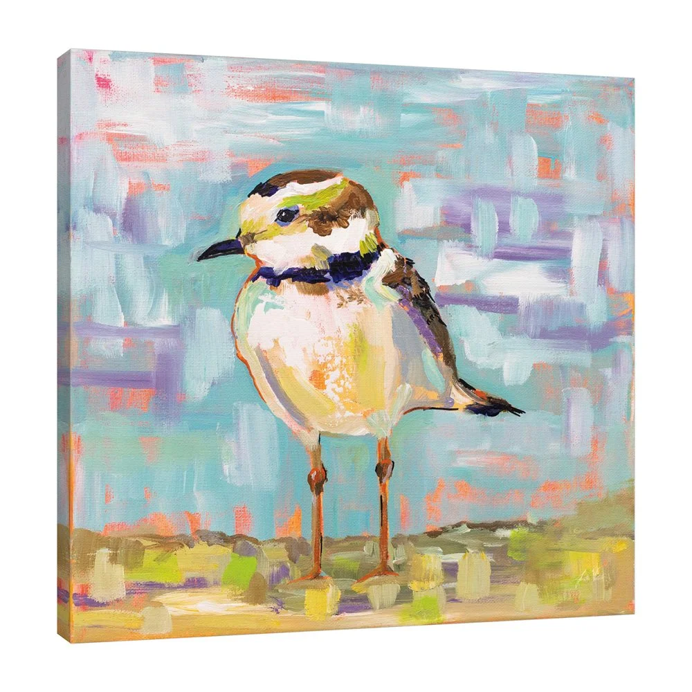 55180HR_Coastal Plover II_preview (3).jpg