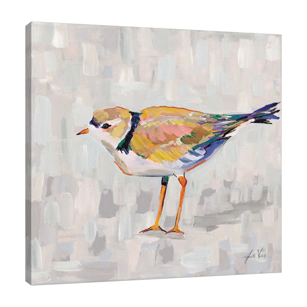 68803-12x12HR_Coastal Plover IV v2 Gray_preview (3).jpg