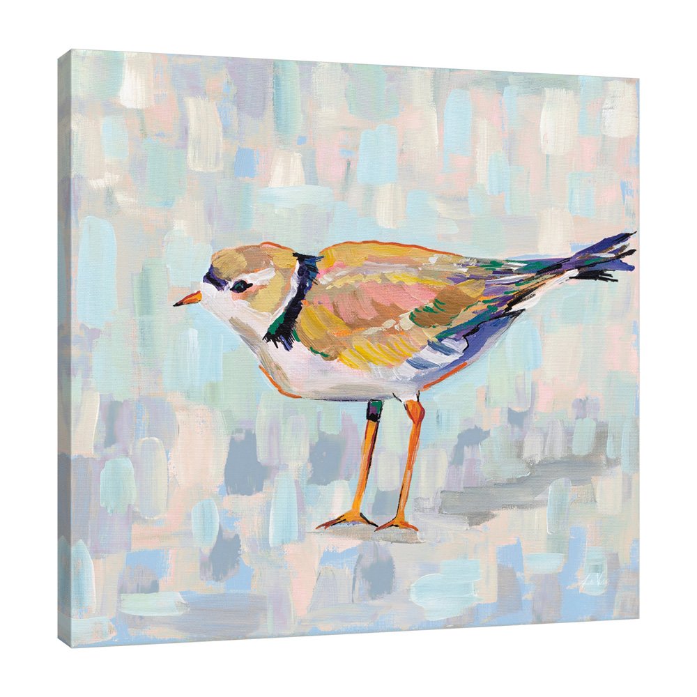 56827-12x12HR_Coastal Plover IV v2 Neutral_preview (3).jpg