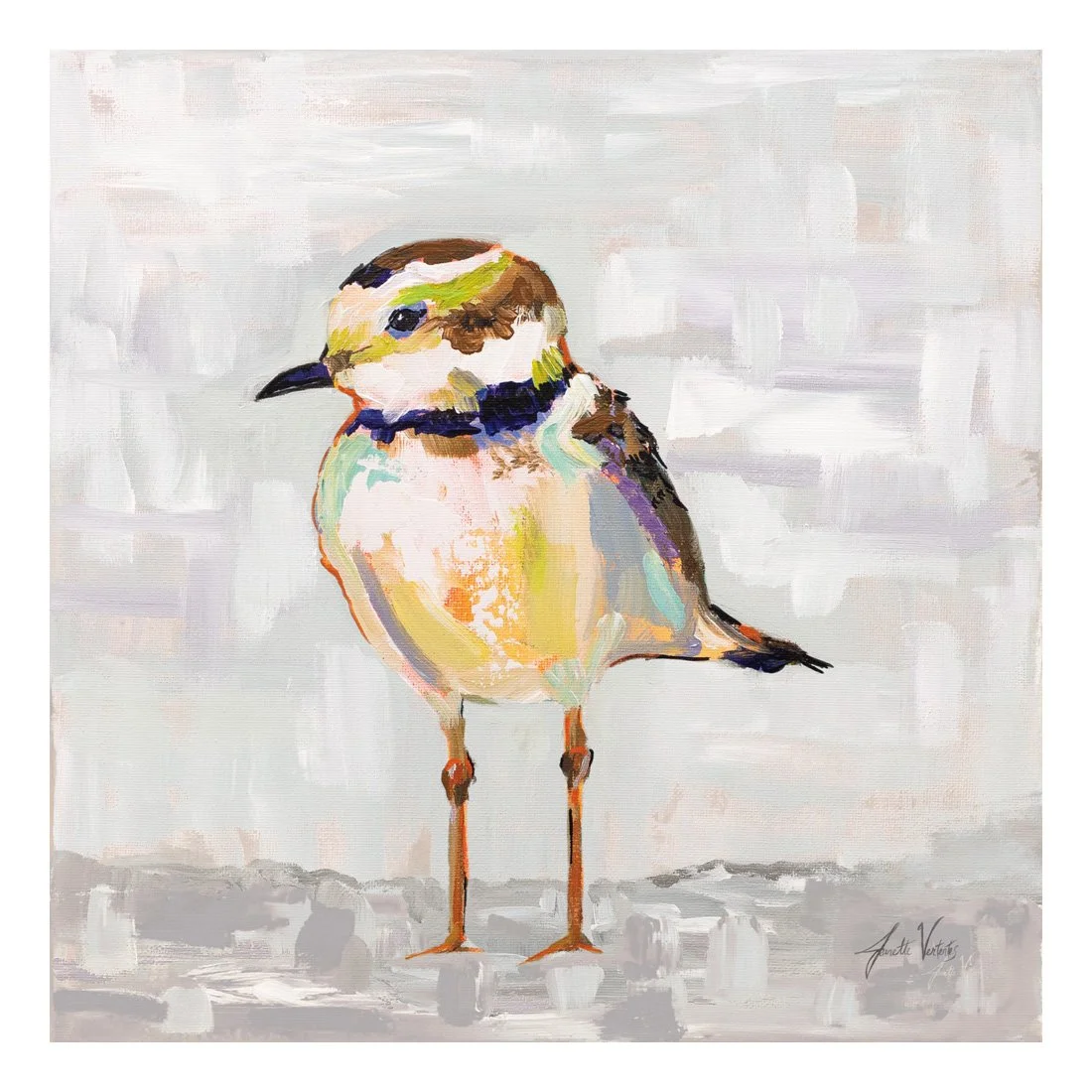 68801-12x12HR_Coastal Plover II Gray_preview (2).jpg