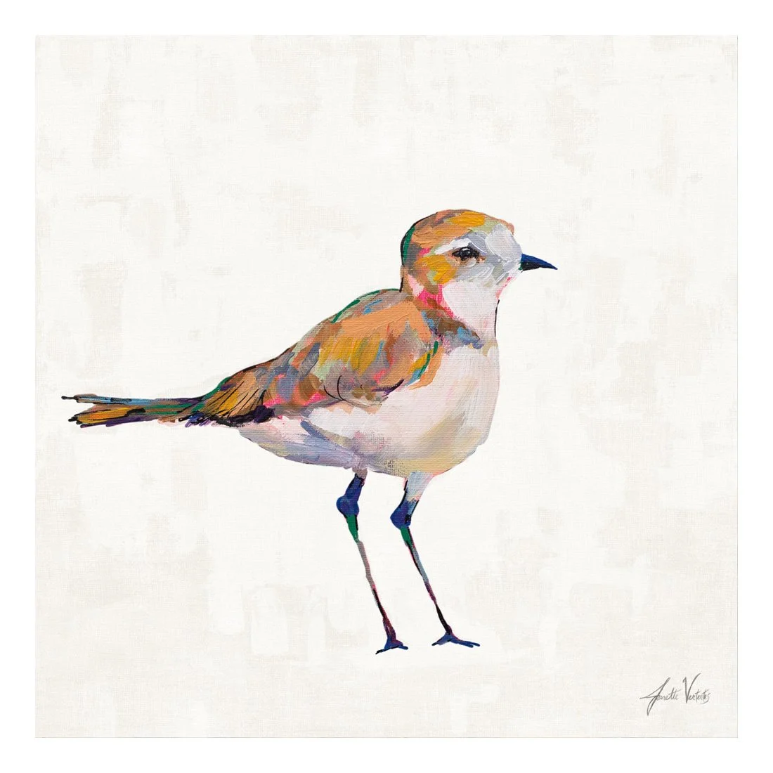 70071-12x12HR_Coastal Plover III Linen_preview (2).jpg