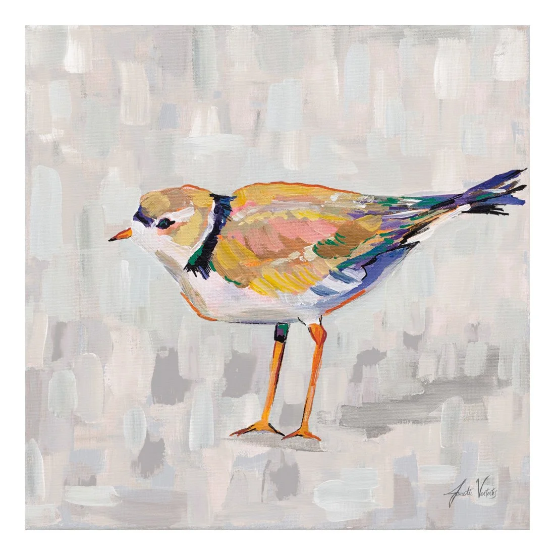 68803-12x12HR_Coastal Plover IV v2 Gray_preview (2).jpg