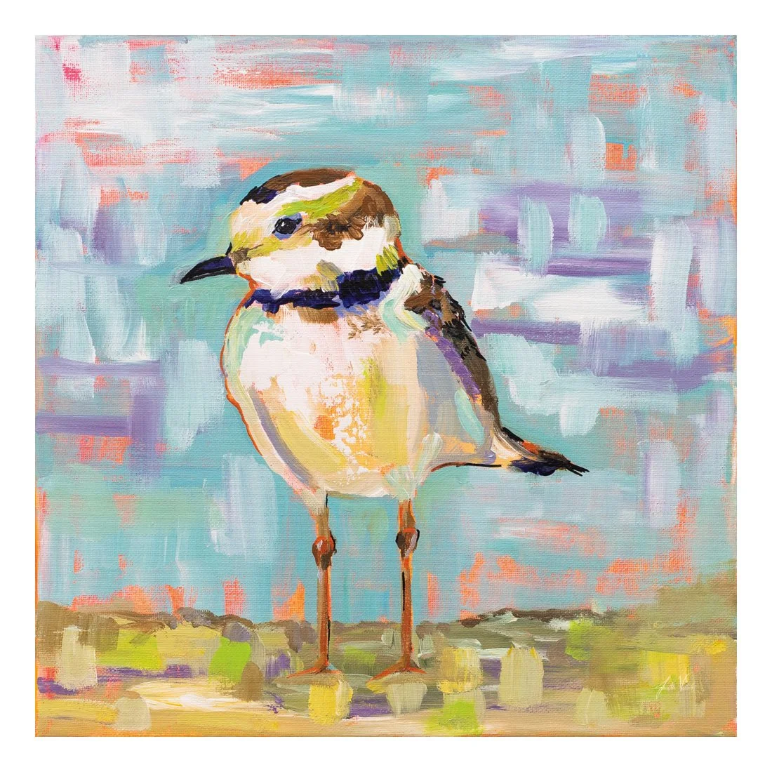 55180HR_Coastal Plover II_preview (2).jpg