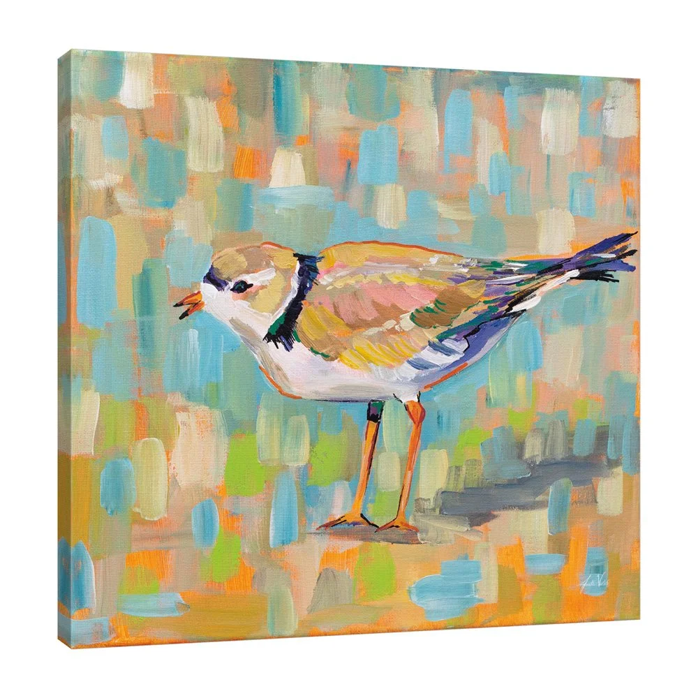55182-16x16HR_Coastal Plover IV_preview (3).jpg