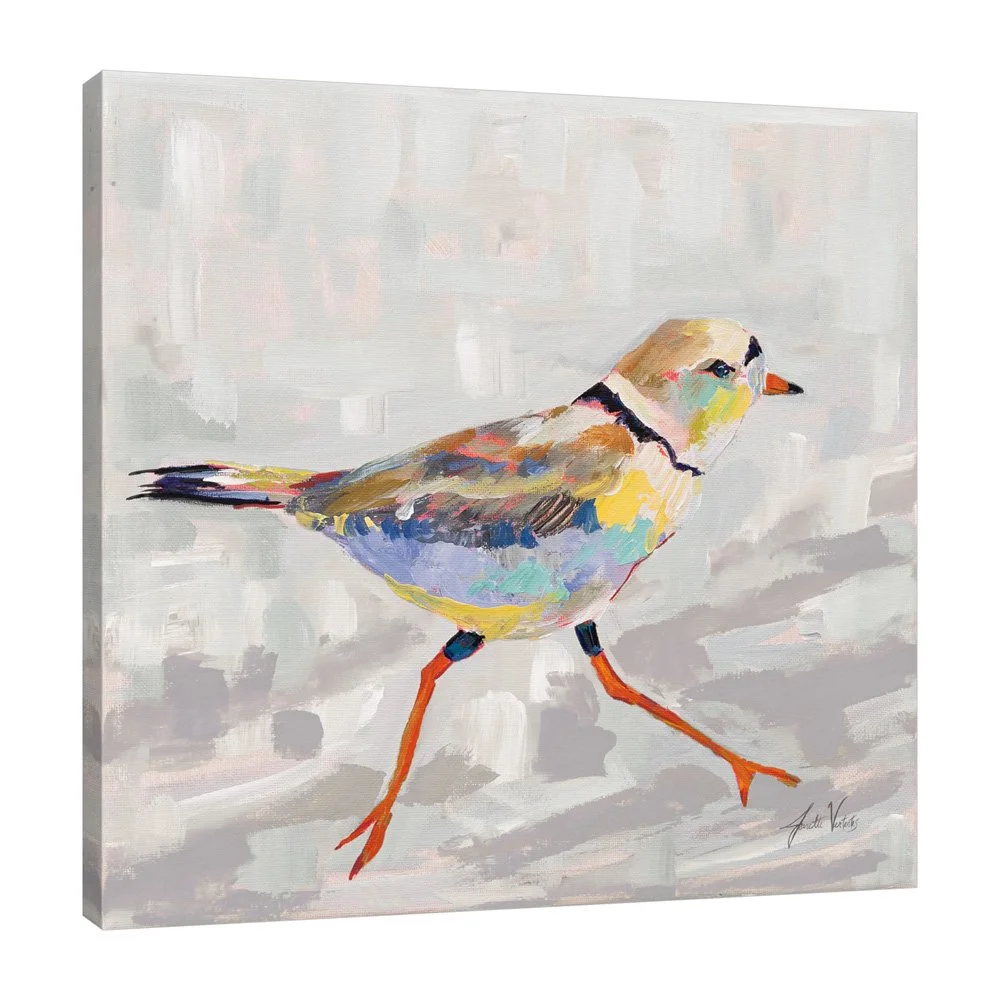 68800-12x12HR_Coastal Plover I Gray_preview (3).jpg