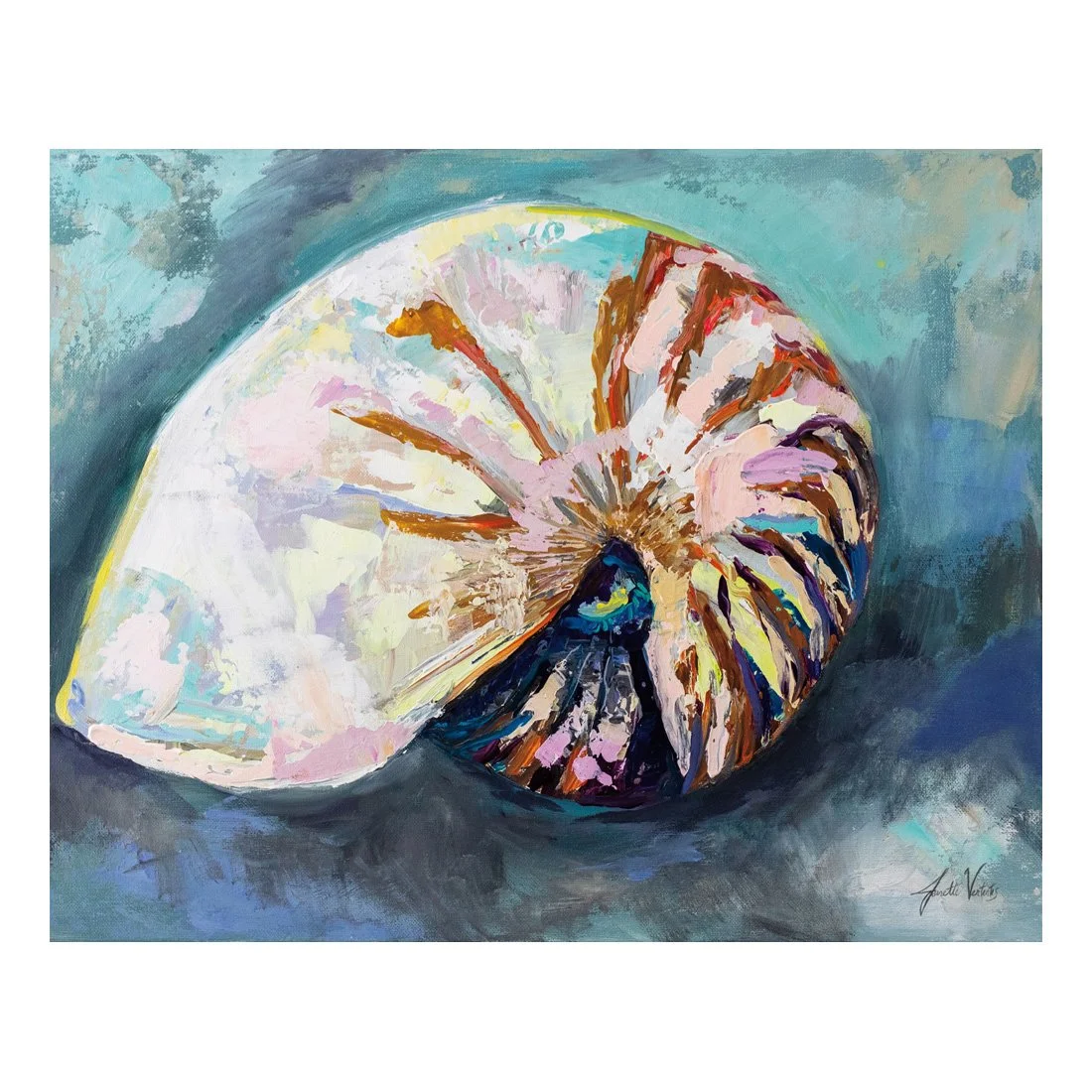 69364HR_Nautilus Shell_preview (2).jpg