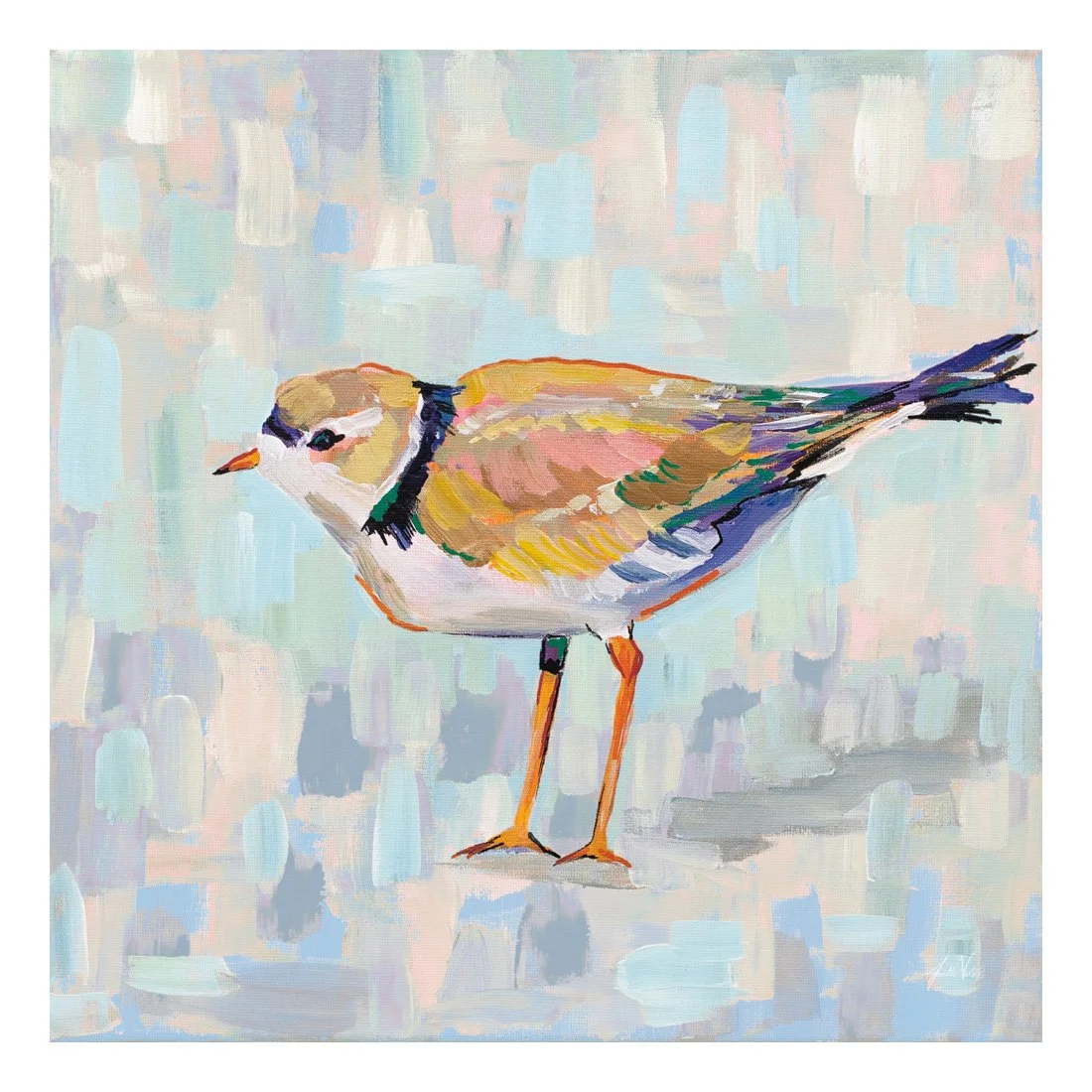 56827-12x12HR_Coastal Plover IV v2 Neutral_preview (2).jpg