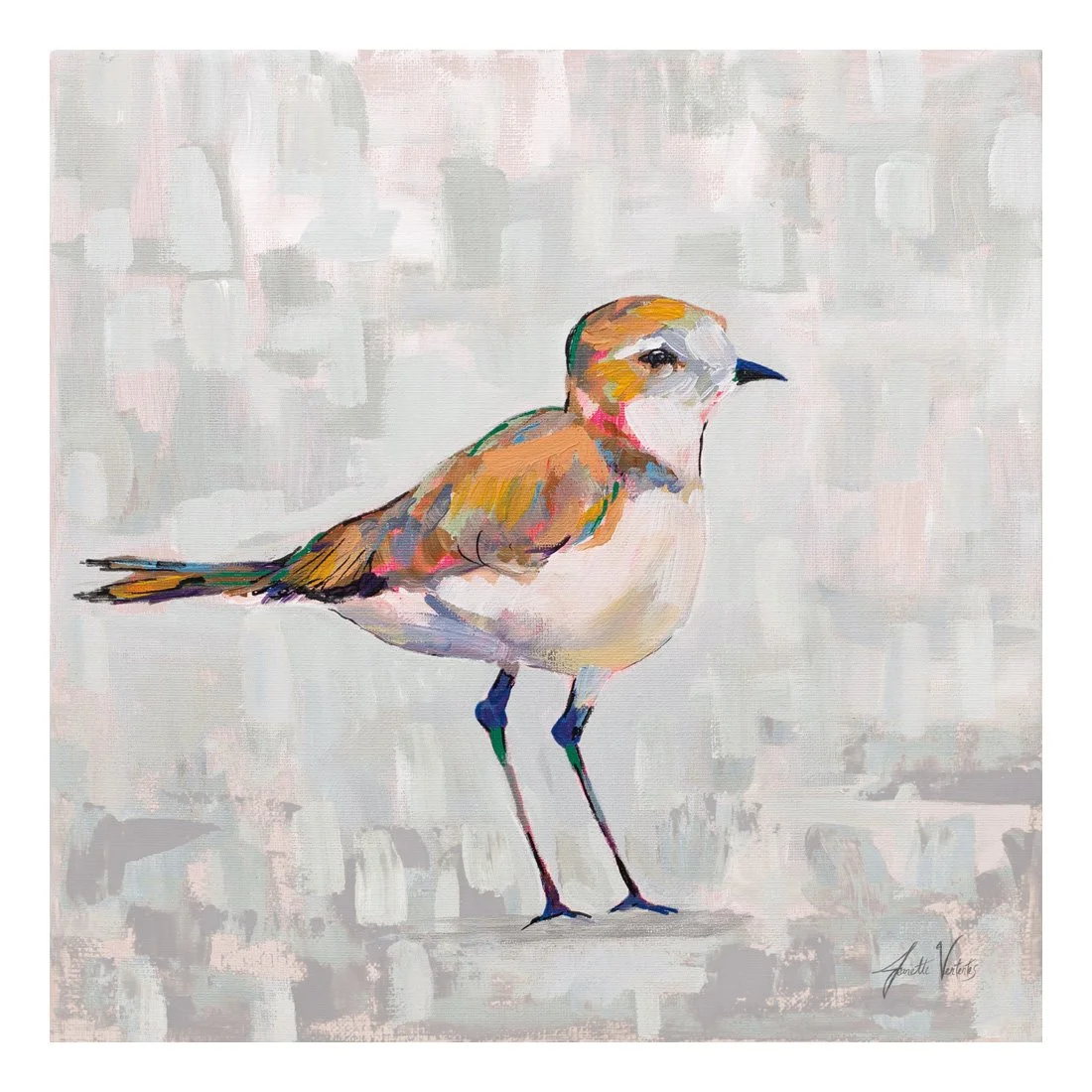 68802-12x12HR_Coastal Plover III Gray_preview (2).jpg