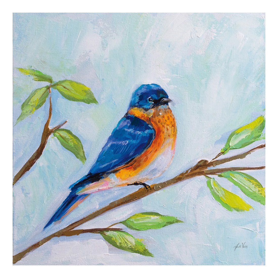 63460HR_Bluebird_preview (2).jpg