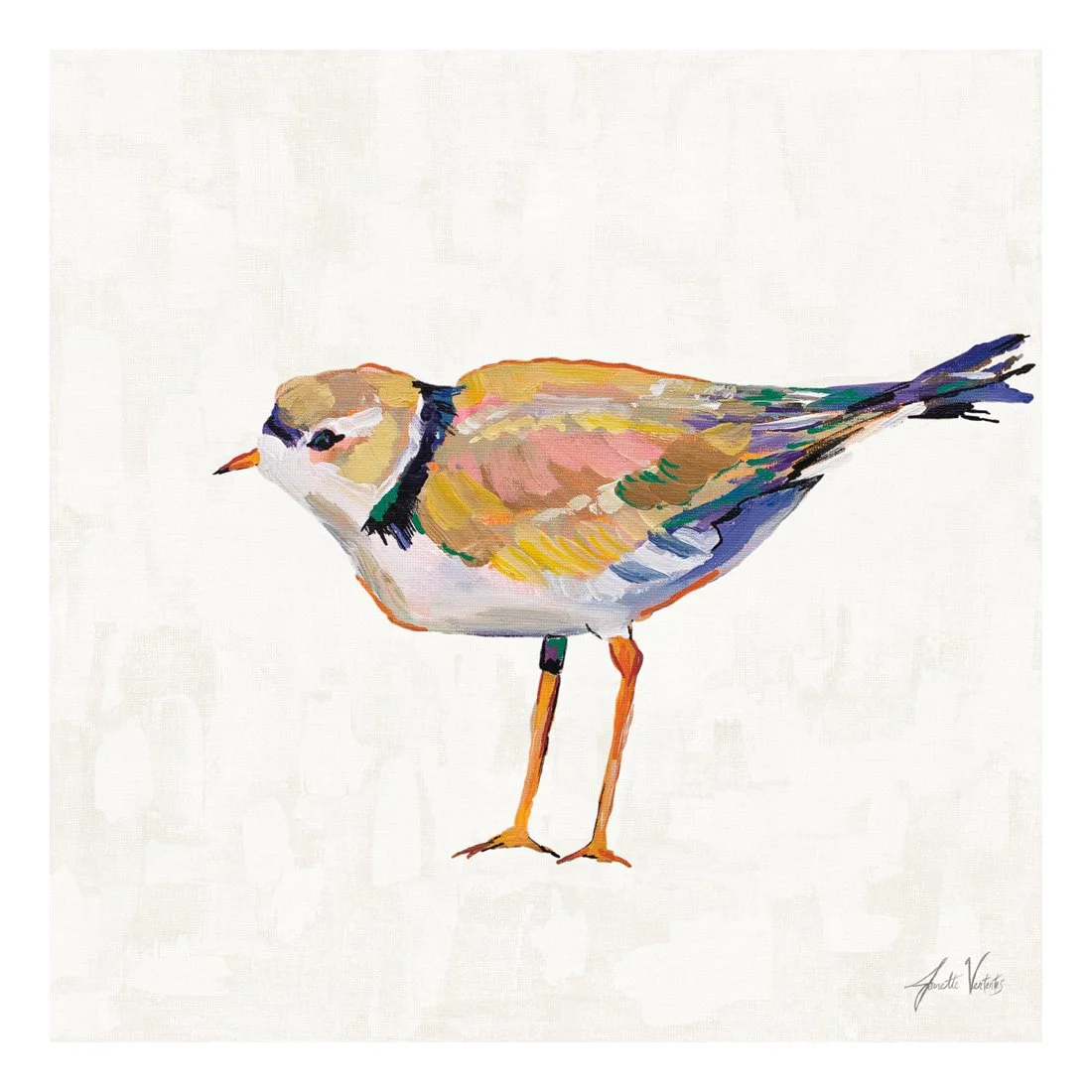 70072-12x12HR_Coastal Plover IV Linen_preview (2).jpg