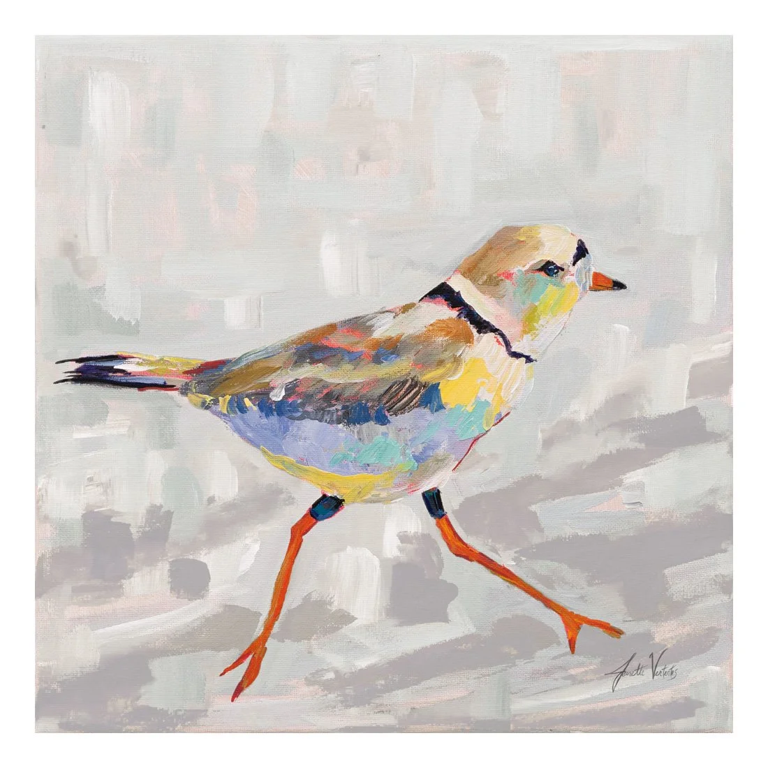 68800-12x12HR_Coastal Plover I Gray_preview (2).jpg