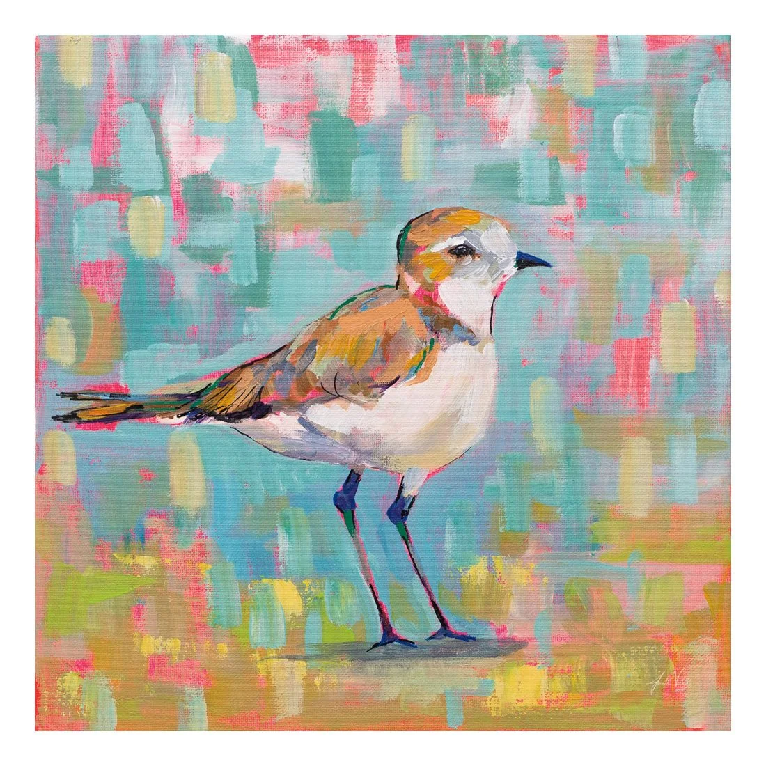 55181-16x16HR_Coastal Plover III_preview (2).jpg