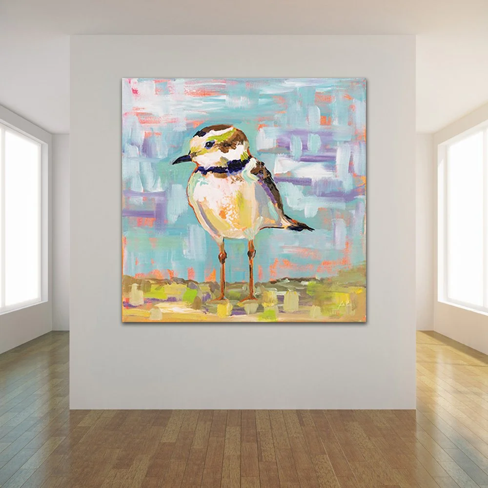 55180HR_Coastal Plover II_preview.jpg