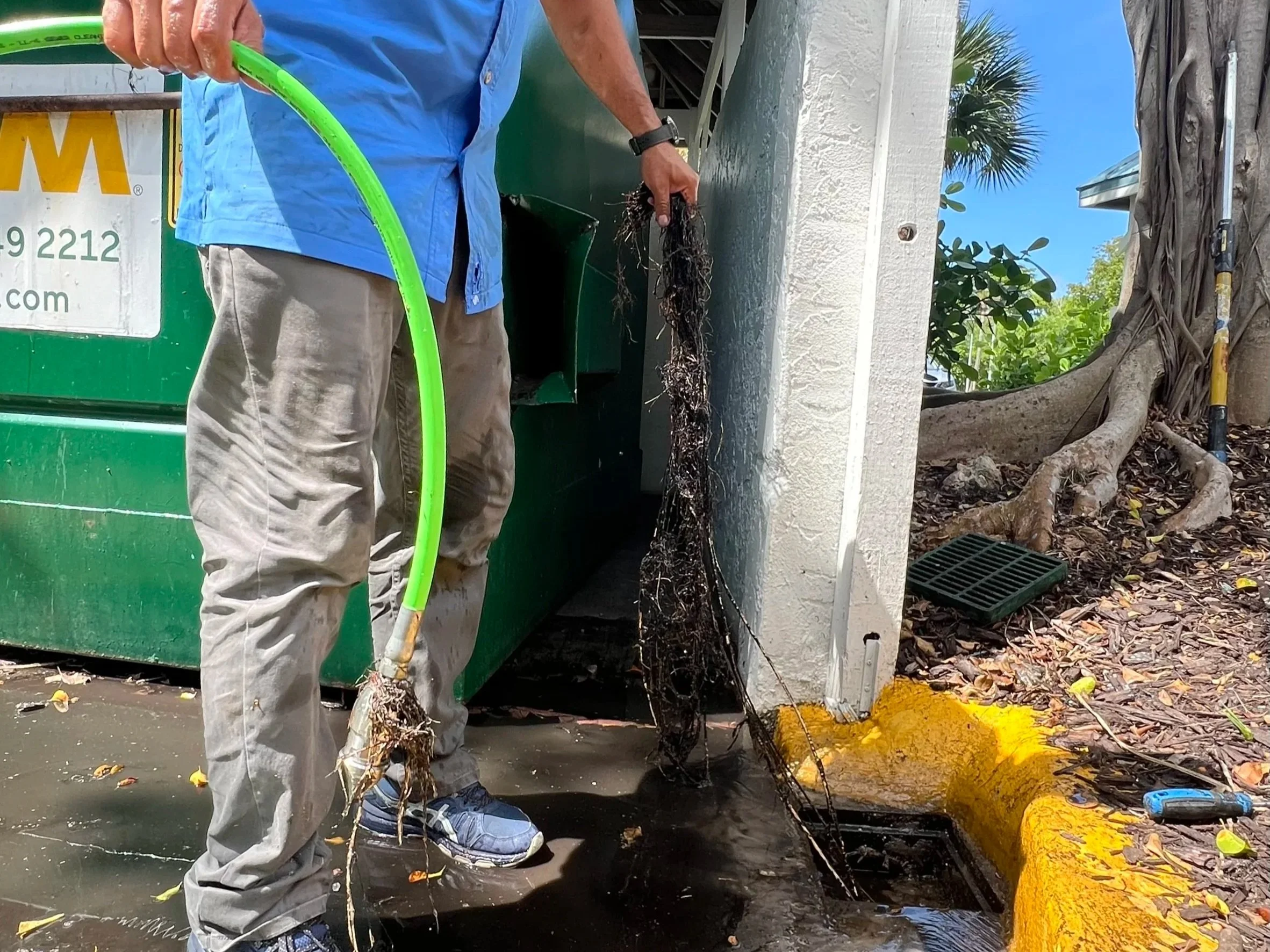Roots removed from an underground gutter pop-up emitter during drainage cleaning at a Florida residential property.