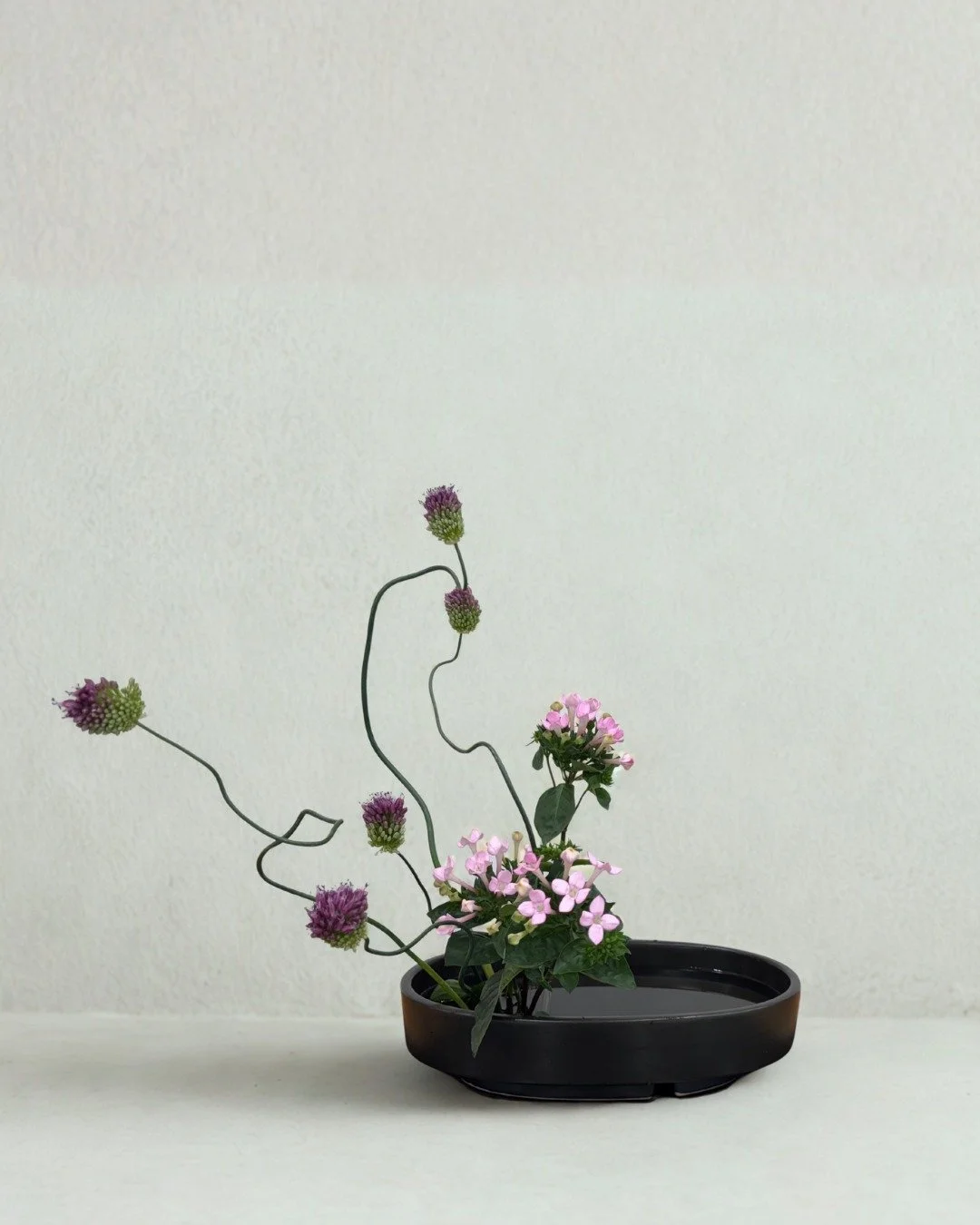 To touch a flower is to remember
what no technology can replace&mdash;
our quiet bond with nature.

#ennfloraldesign