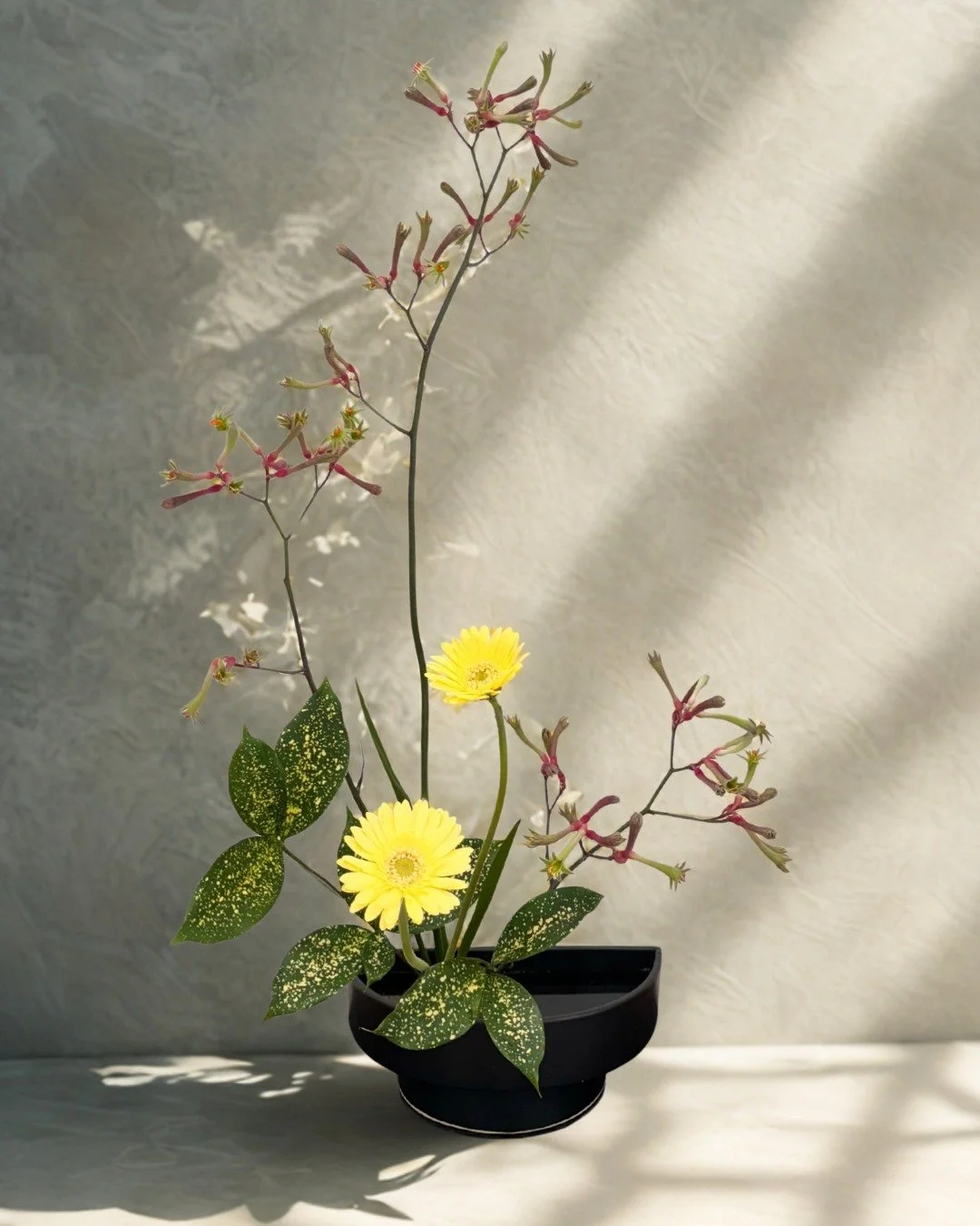 To see the light within a flower
is to be reminded of nature&rsquo;s quiet blessings.

#ennfloraldesign