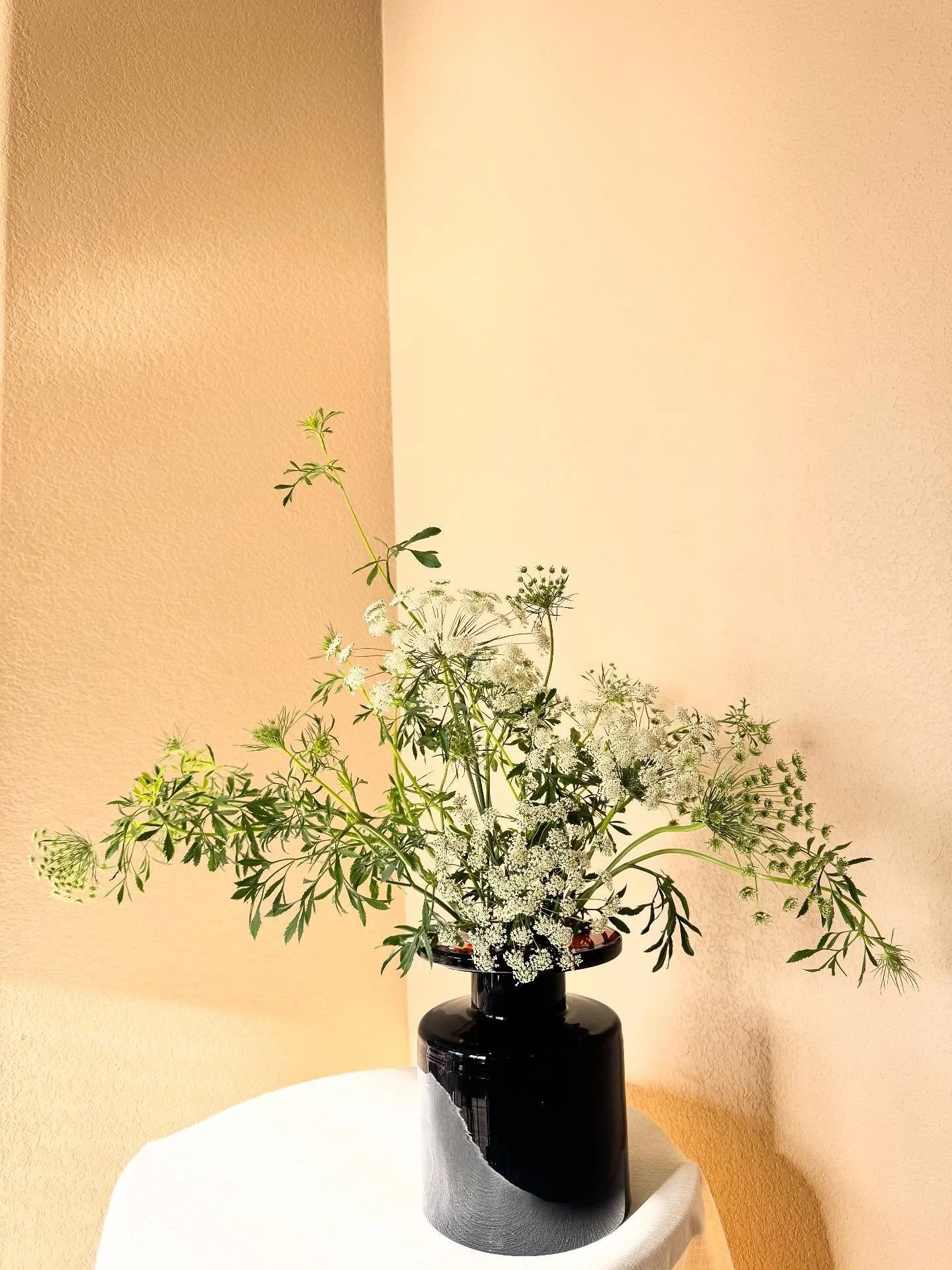 Even the blooms that are usually in the background reveal such beauty when you cast a light on them.

#ennfloraldesign