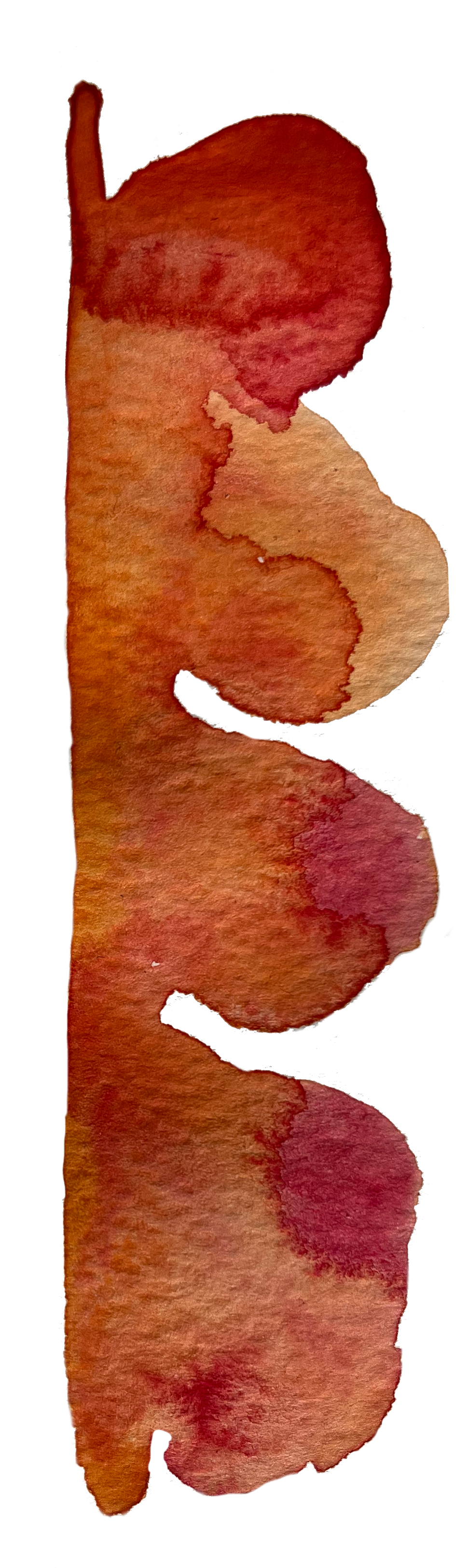 Watercolor painting shades of red and orange abstract shape