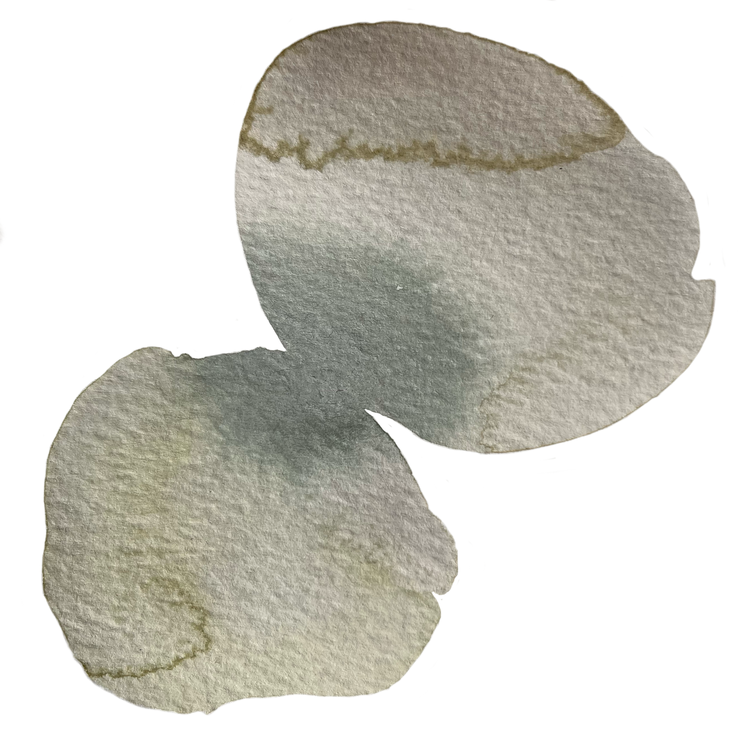 watercolor painting organic shapes